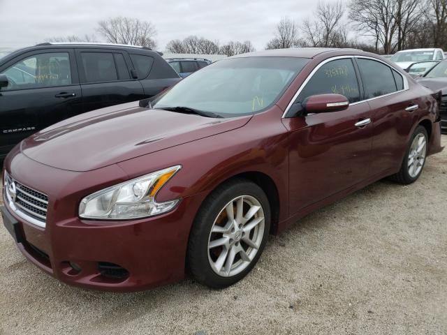 Photo 1 VIN: 1N4AA5AP2BC836149 - NISSAN MAXIMA 