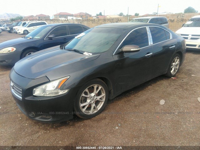 Photo 1 VIN: 1N4AA5AP2BC839813 - NISSAN MAXIMA 