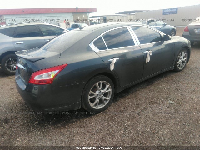 Photo 3 VIN: 1N4AA5AP2BC839813 - NISSAN MAXIMA 