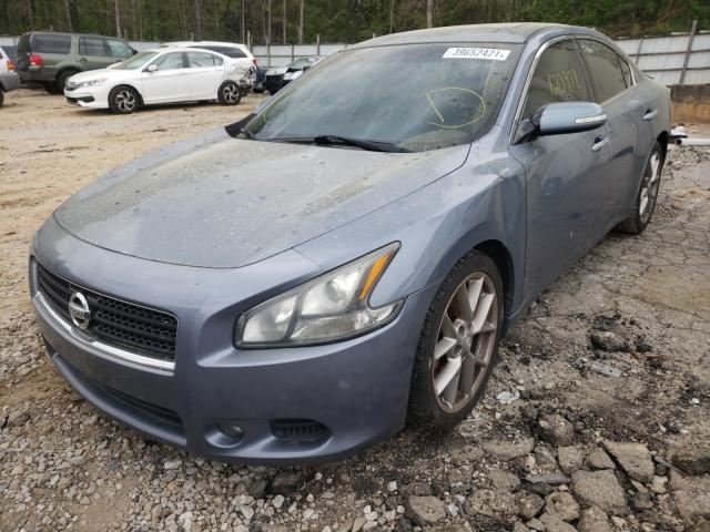 Photo 1 VIN: 1N4AA5AP2BC843084 - NISSAN MAXIMA S 