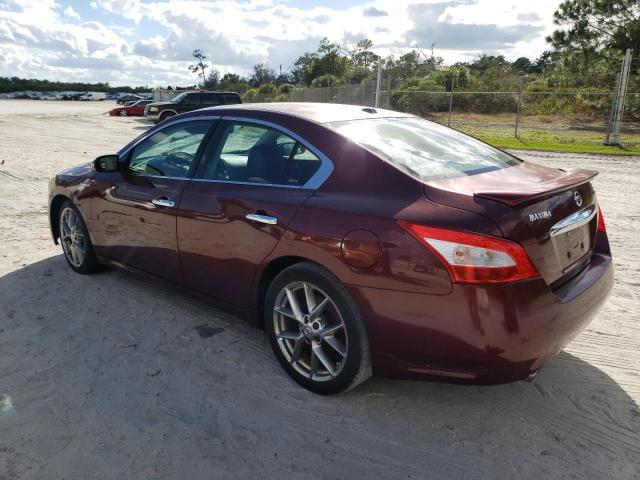 Photo 1 VIN: 1N4AA5AP2BC851007 - NISSAN MAXIMA 