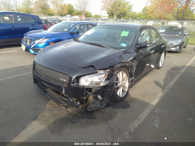 Photo 1 VIN: 1N4AA5AP2BC852903 - NISSAN MAXIMA 