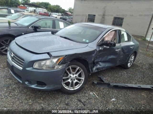 Photo 1 VIN: 1N4AA5AP2BC855641 - NISSAN MAXIMA 