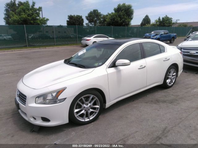 Photo 1 VIN: 1N4AA5AP2BC860841 - NISSAN MAXIMA 