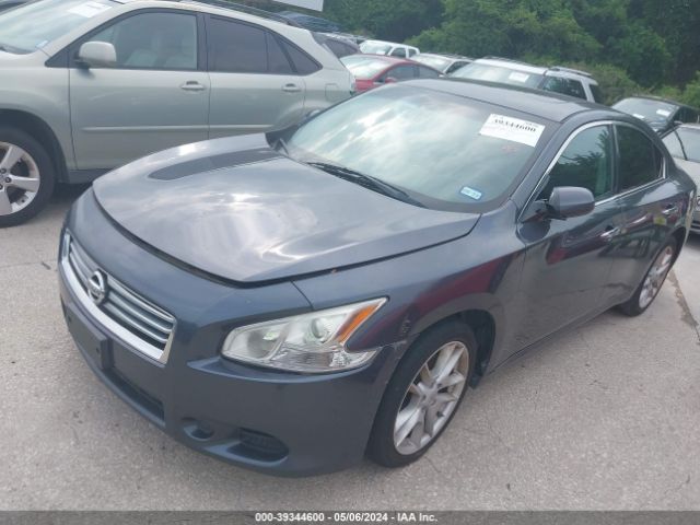 Photo 1 VIN: 1N4AA5AP2CC834399 - NISSAN MAXIMA 