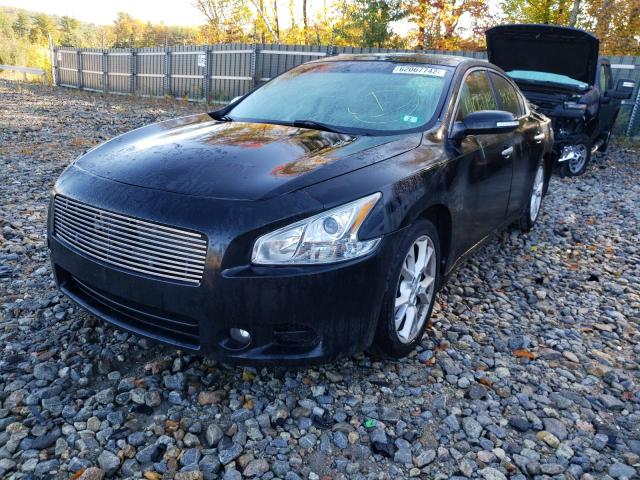 Photo 1 VIN: 1N4AA5AP2DC803882 - NISSAN MAXIMA S 