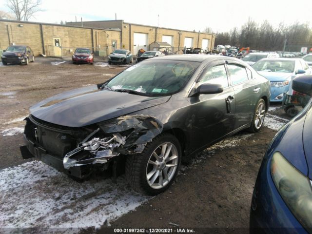 Photo 1 VIN: 1N4AA5AP2DC839569 - NISSAN MAXIMA 