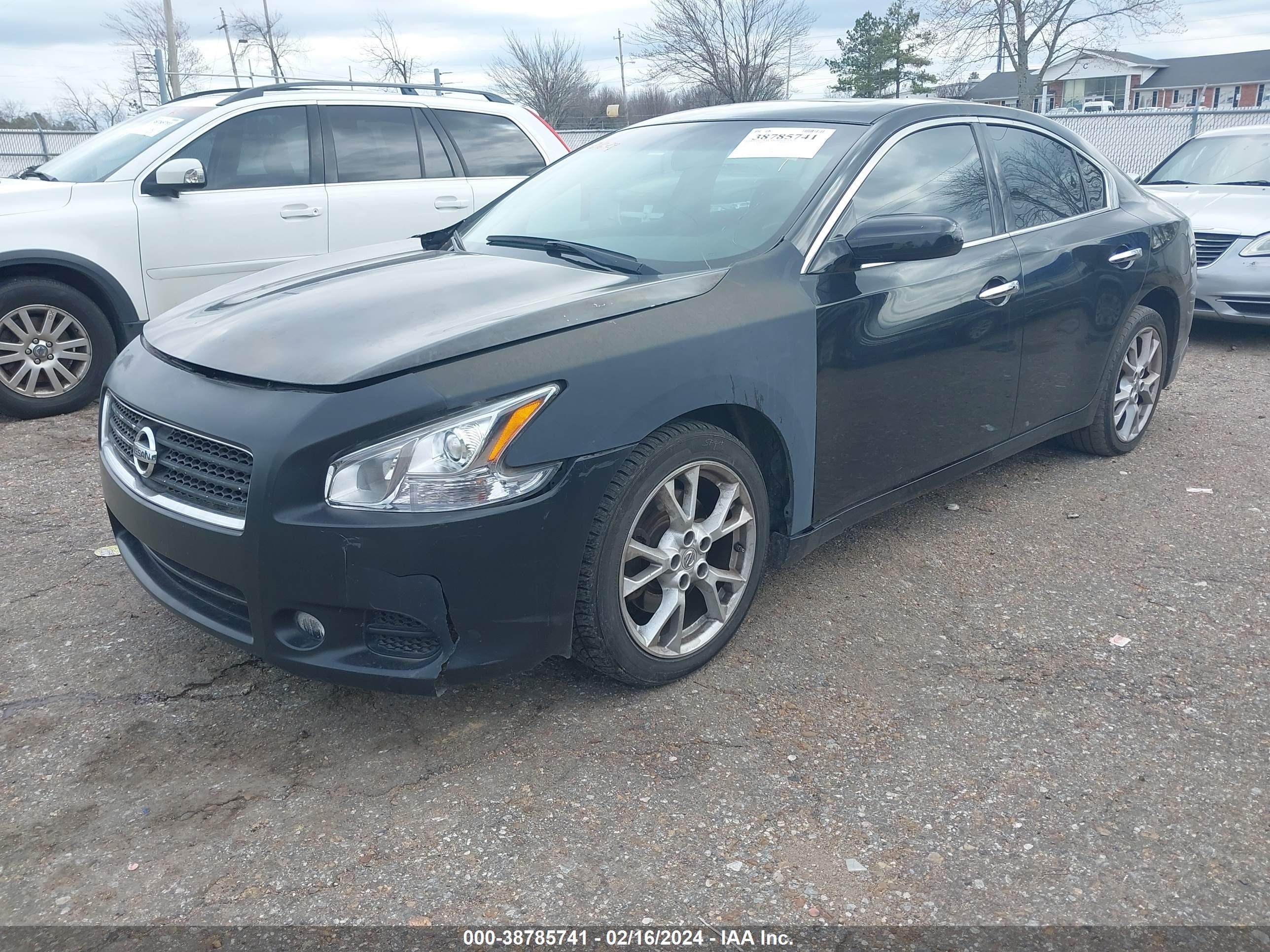 Photo 1 VIN: 1N4AA5AP2EC446253 - NISSAN MAXIMA 