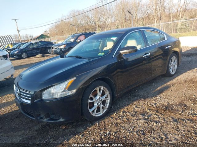 Photo 1 VIN: 1N4AA5AP2EC478975 - NISSAN MAXIMA 