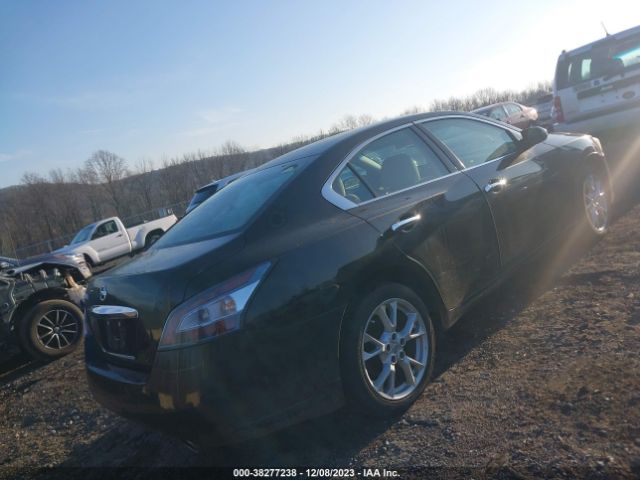 Photo 3 VIN: 1N4AA5AP2EC478975 - NISSAN MAXIMA 