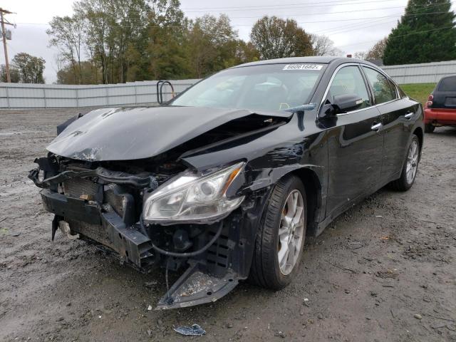 Photo 1 VIN: 1N4AA5AP2EC495274 - NISSAN MAXIMA 