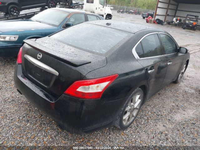 Photo 3 VIN: 1N4AA5AP3AC809847 - NISSAN MAXIMA 