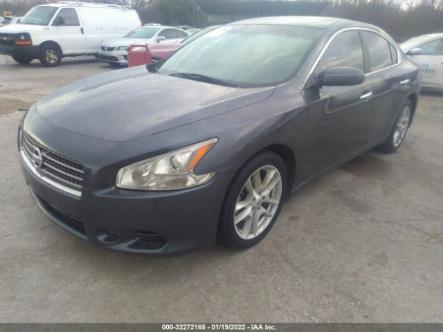 Photo 1 VIN: 1N4AA5AP3AC811131 - NISSAN MAXIMA 