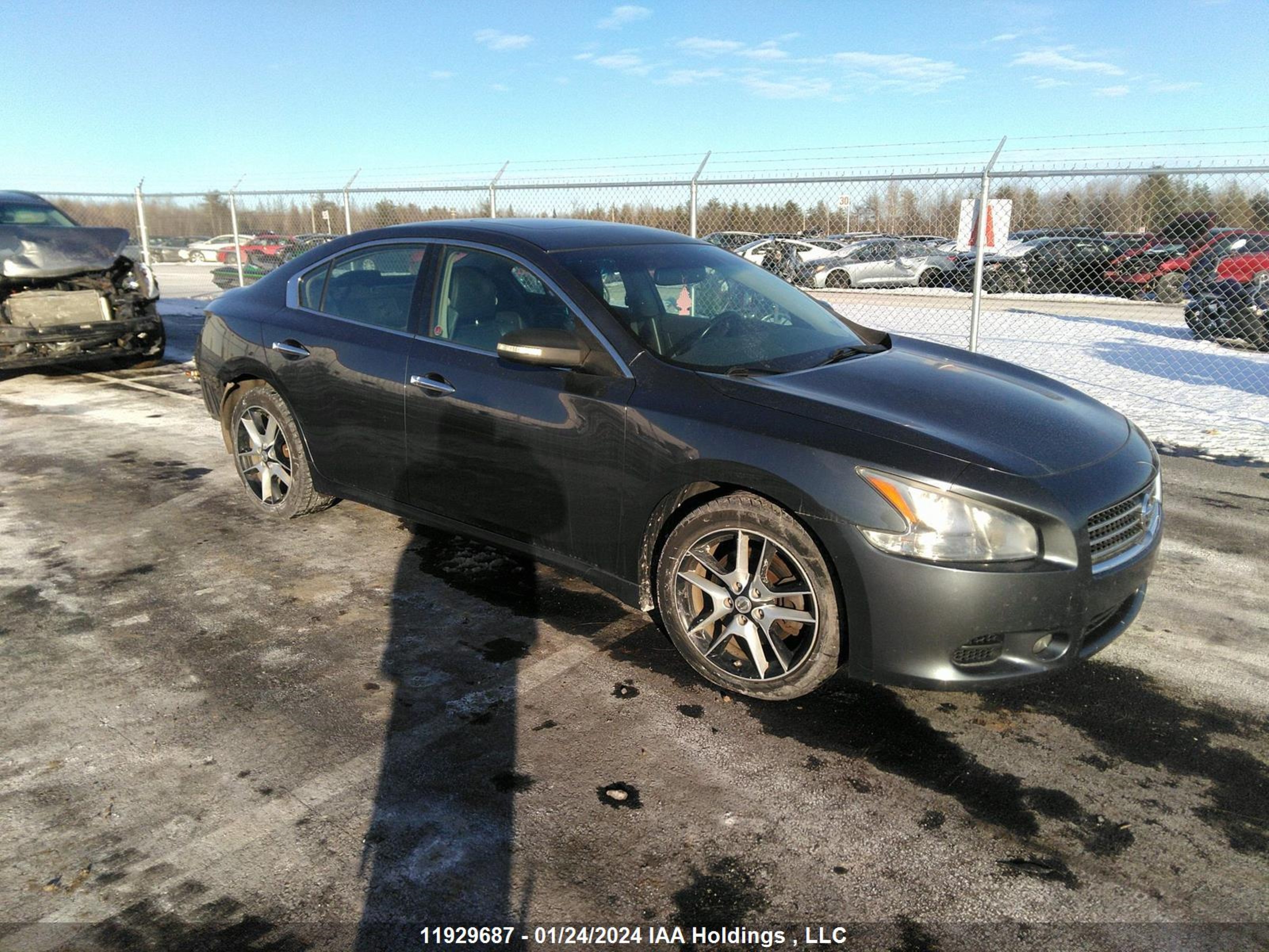 Photo 0 VIN: 1N4AA5AP3AC813610 - NISSAN MAXIMA 