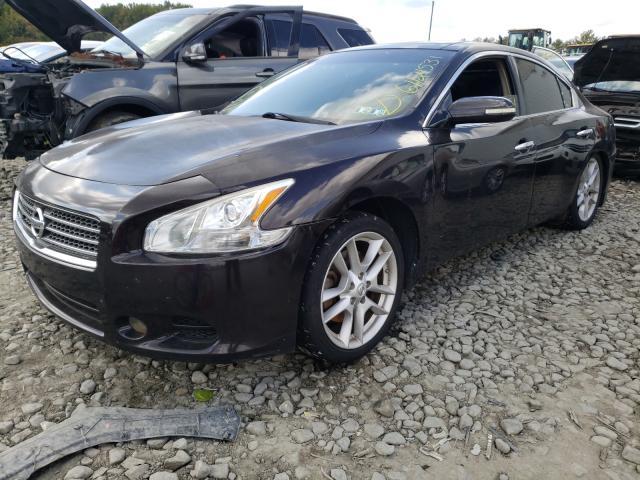 Photo 1 VIN: 1N4AA5AP3AC813669 - NISSAN MAXIMA S 