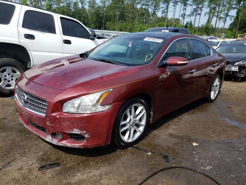 Photo 1 VIN: 1N4AA5AP3AC815454 - NISSAN MAXIMA S 