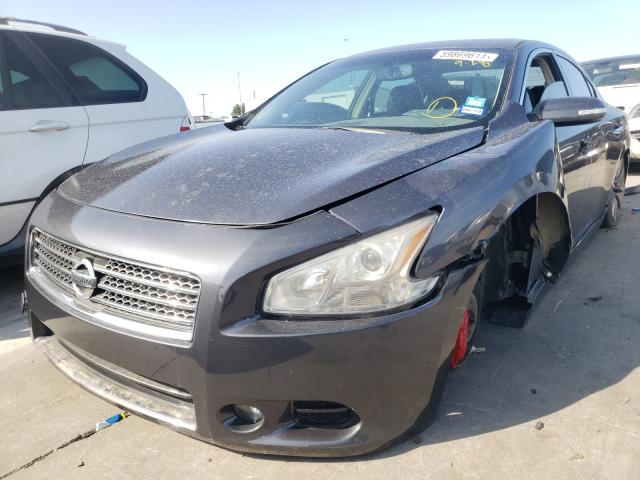 Photo 1 VIN: 1N4AA5AP3AC819505 - NISSAN MAXIMA S 