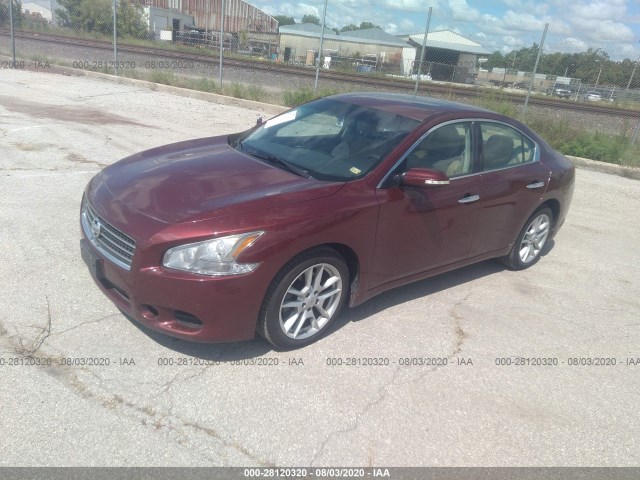 Photo 1 VIN: 1N4AA5AP3AC838653 - NISSAN MAXIMA 