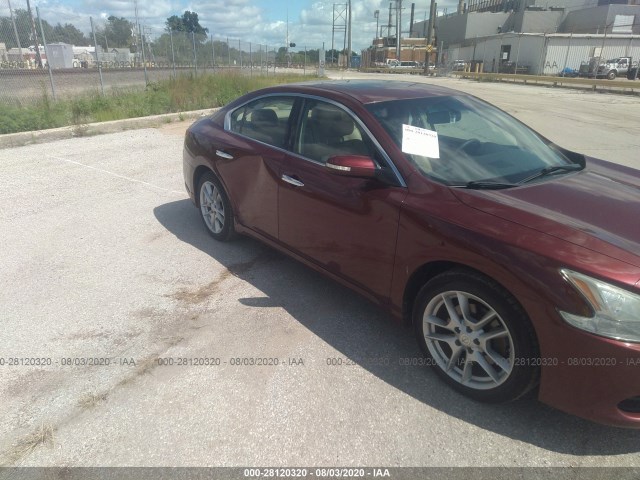 Photo 5 VIN: 1N4AA5AP3AC838653 - NISSAN MAXIMA 