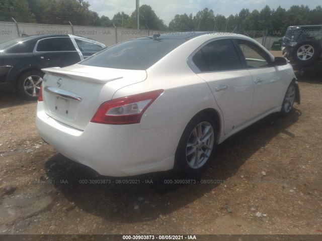 Photo 3 VIN: 1N4AA5AP3AC841729 - NISSAN MAXIMA 