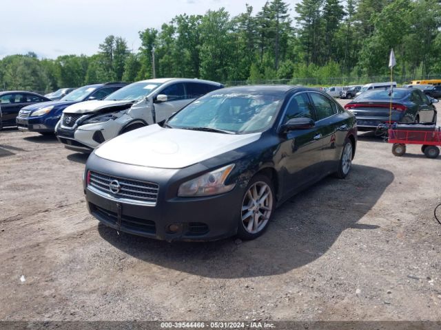 Photo 1 VIN: 1N4AA5AP3AC847109 - NISSAN MAXIMA 