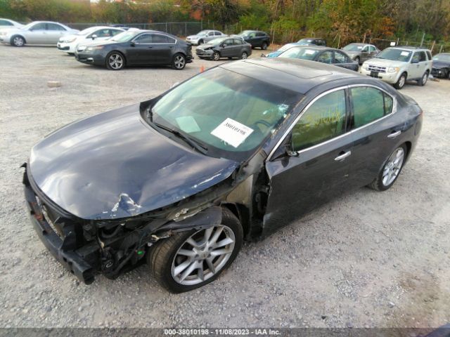 Photo 1 VIN: 1N4AA5AP3AC871474 - NISSAN MAXIMA 