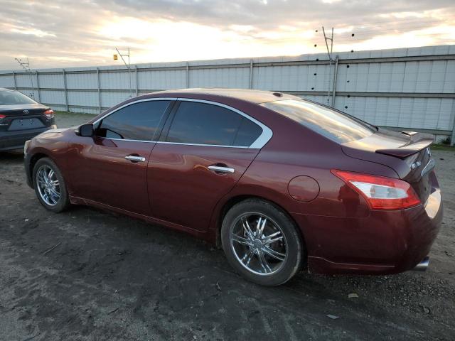 Photo 1 VIN: 1N4AA5AP3AC873628 - NISSAN MAXIMA 