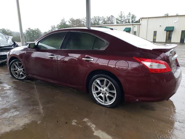 Photo 1 VIN: 1N4AA5AP3AC875055 - NISSAN MAXIMA 