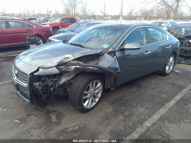 Photo 5 VIN: 1N4AA5AP3BC800731 - NISSAN MAXIMA 