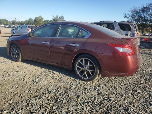 Photo 1 VIN: 1N4AA5AP3BC806576 - NISSAN MAXIMA S 