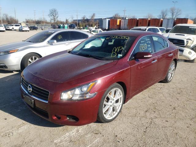 Photo 1 VIN: 1N4AA5AP3BC807131 - NISSAN MAXIMA S 