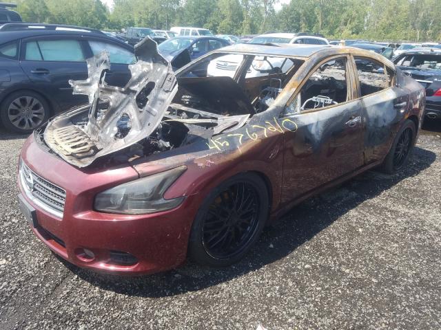 Photo 1 VIN: 1N4AA5AP3BC812541 - NISSAN MAXIMA S 