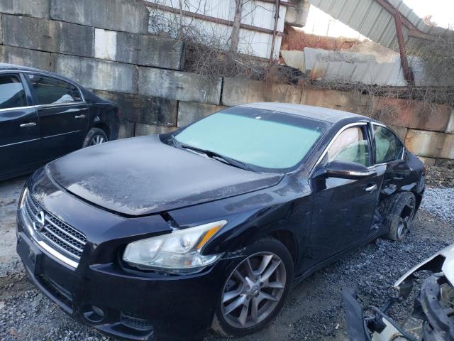 Photo 1 VIN: 1N4AA5AP3BC814774 - NISSAN MAXIMA S 