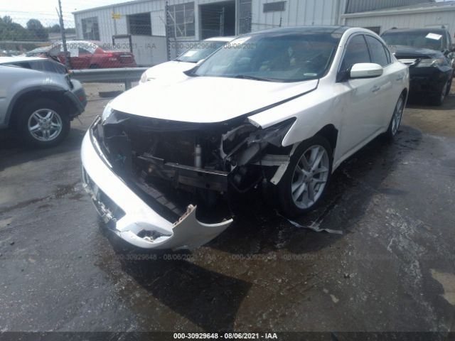 Photo 1 VIN: 1N4AA5AP3BC814841 - NISSAN MAXIMA 