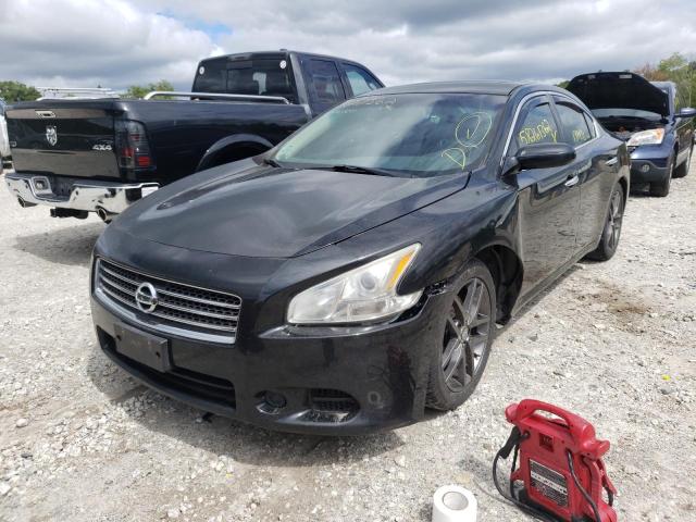 Photo 1 VIN: 1N4AA5AP3BC823099 - NISSAN MAXIMA S 