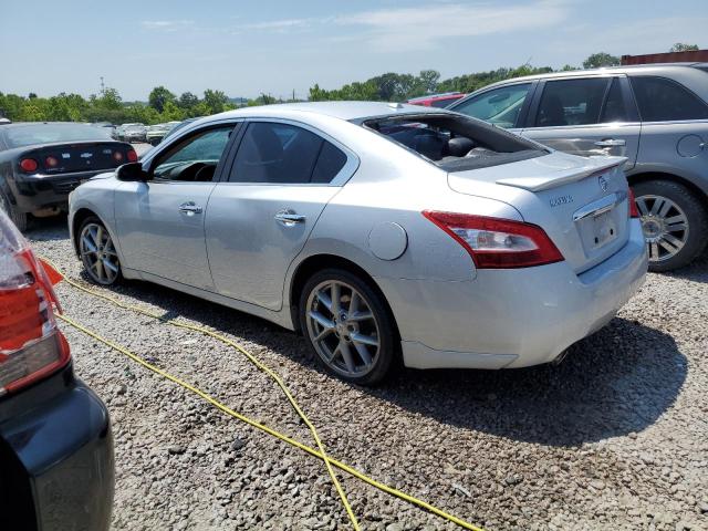 Photo 1 VIN: 1N4AA5AP3BC831705 - NISSAN MAXIMA 