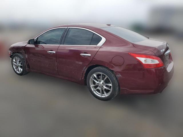 Photo 1 VIN: 1N4AA5AP3BC840064 - NISSAN MAXIMA 