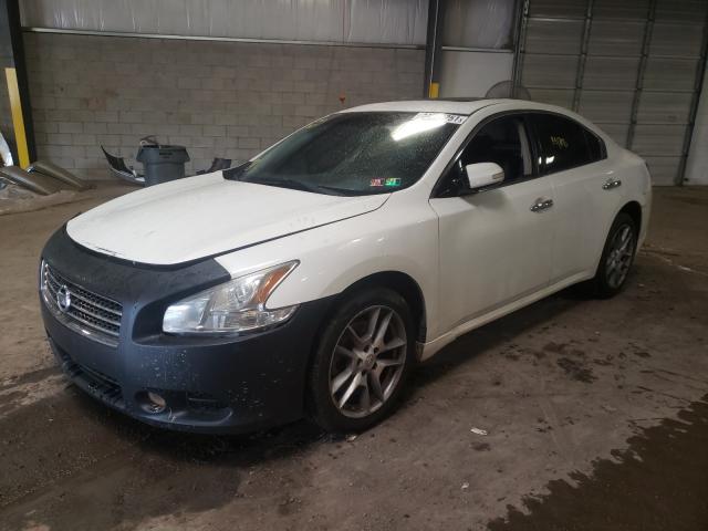 Photo 1 VIN: 1N4AA5AP3BC840937 - NISSAN MAXIMA S 