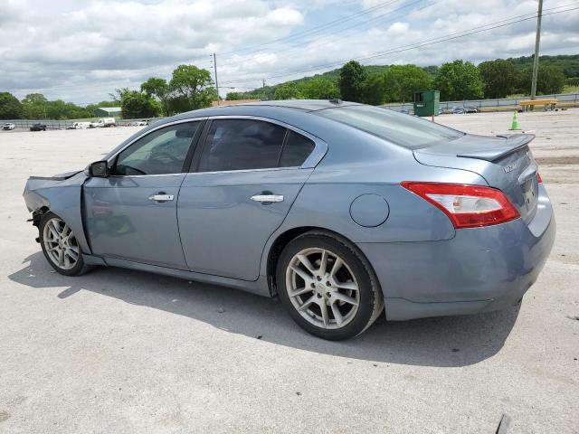 Photo 1 VIN: 1N4AA5AP3BC842008 - NISSAN MAXIMA 