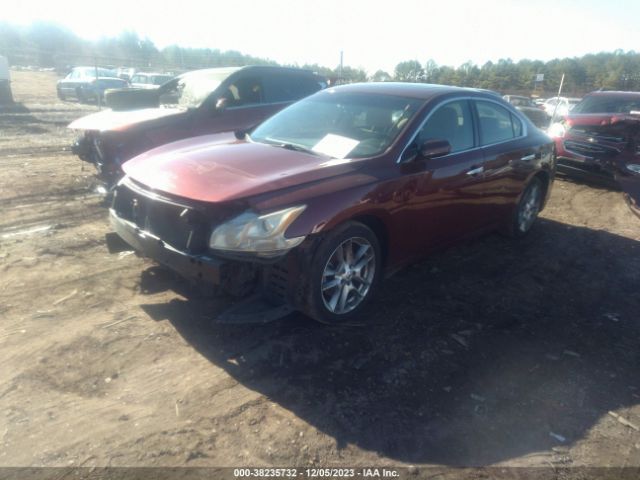 Photo 1 VIN: 1N4AA5AP3BC842123 - NISSAN MAXIMA 