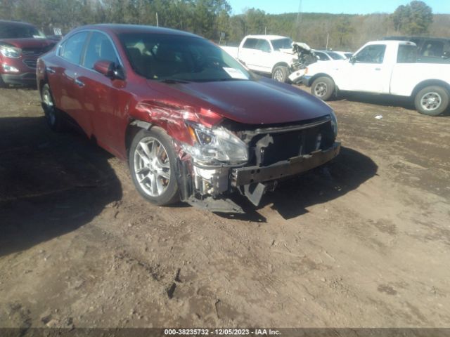 Photo 5 VIN: 1N4AA5AP3BC842123 - NISSAN MAXIMA 