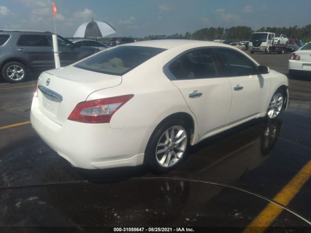 Photo 3 VIN: 1N4AA5AP3BC842591 - NISSAN MAXIMA 