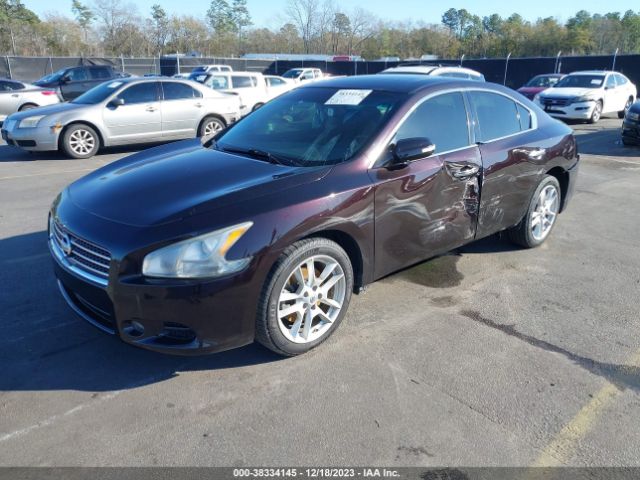 Photo 1 VIN: 1N4AA5AP3BC845586 - NISSAN MAXIMA 