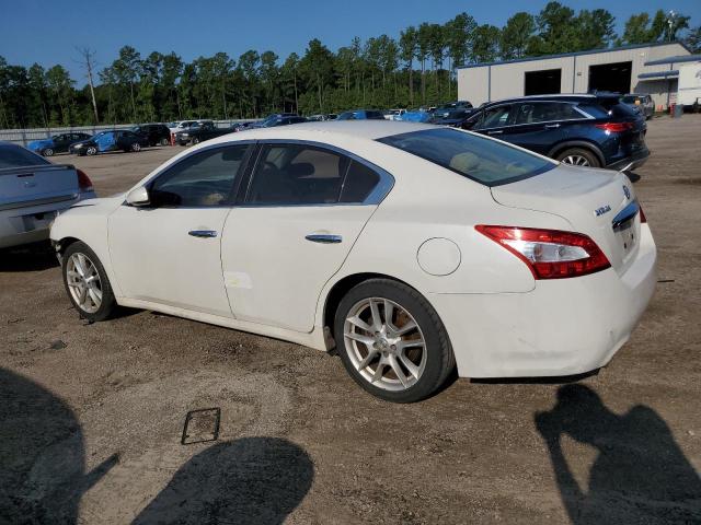 Photo 1 VIN: 1N4AA5AP3BC846821 - NISSAN MAXIMA S 