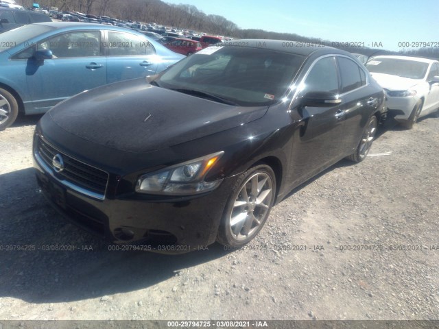 Photo 1 VIN: 1N4AA5AP3BC851243 - NISSAN MAXIMA 