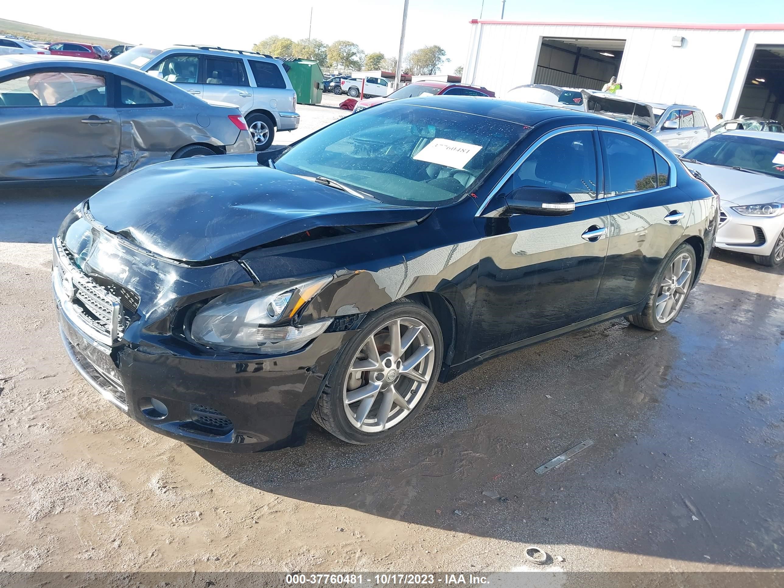 Photo 1 VIN: 1N4AA5AP3BC855129 - NISSAN MAXIMA 