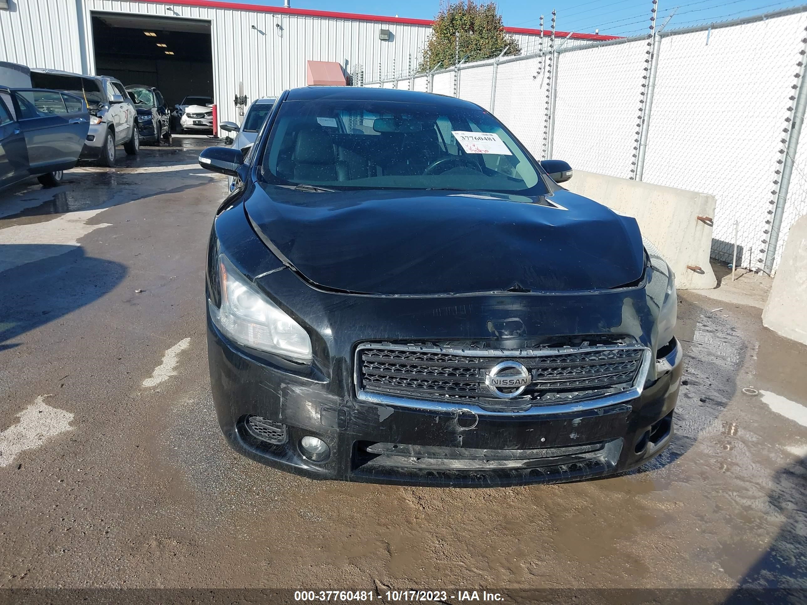 Photo 11 VIN: 1N4AA5AP3BC855129 - NISSAN MAXIMA 