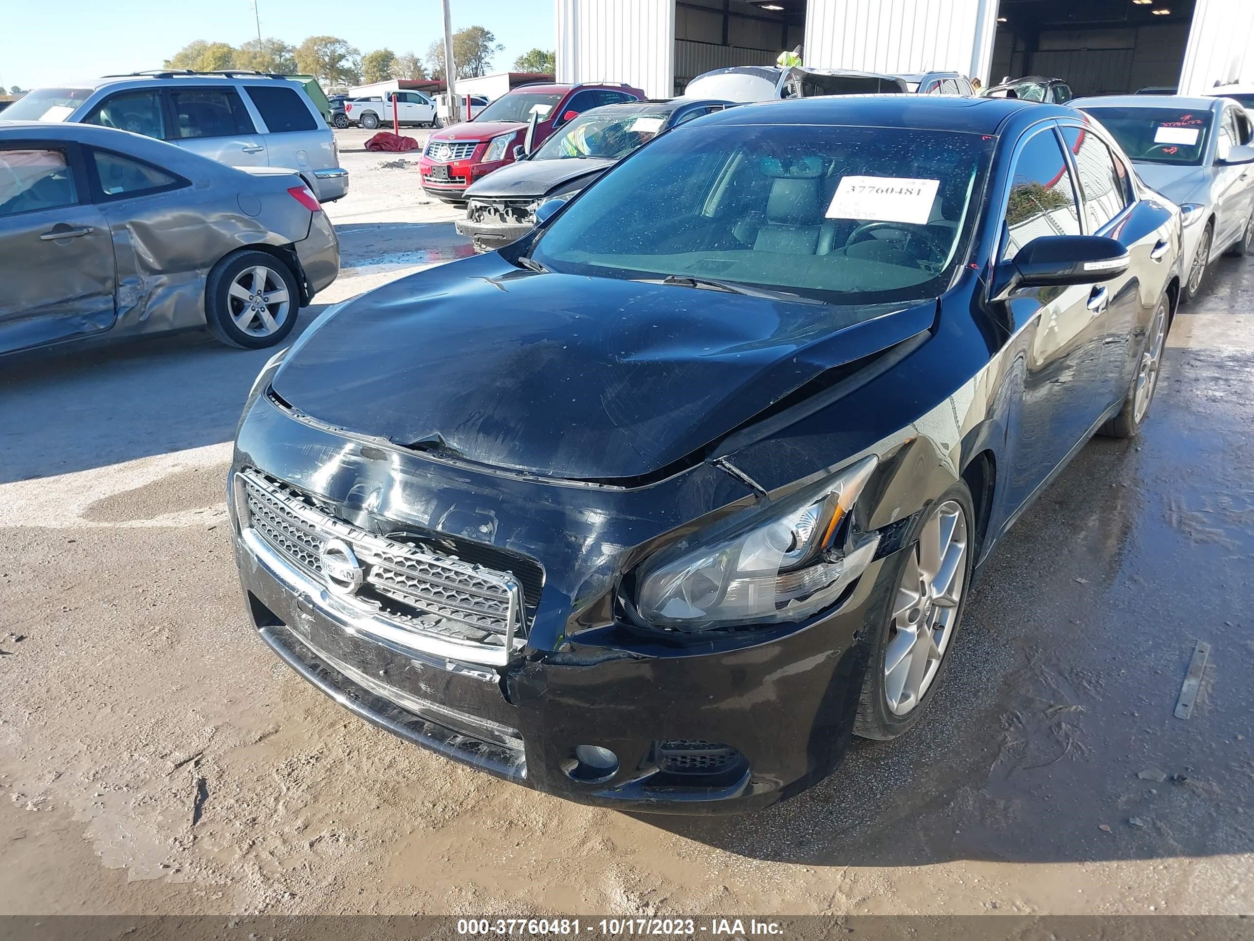 Photo 5 VIN: 1N4AA5AP3BC855129 - NISSAN MAXIMA 