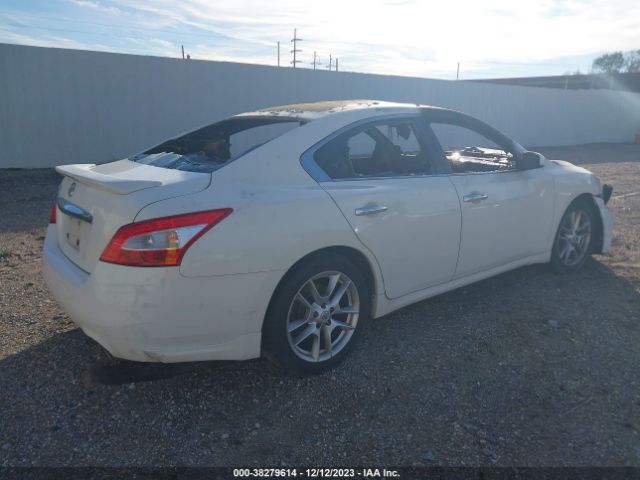 Photo 3 VIN: 1N4AA5AP3BC862923 - NISSAN MAXIMA 