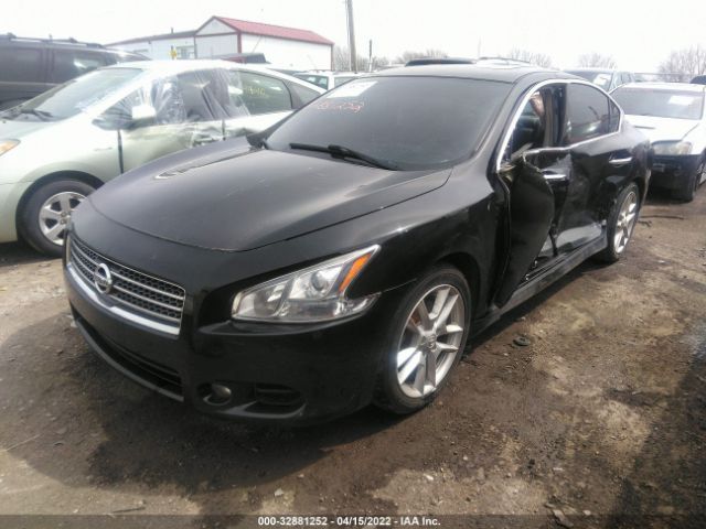 Photo 1 VIN: 1N4AA5AP3BC863683 - NISSAN MAXIMA 